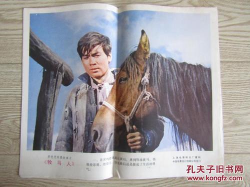 马德里欧洲大学degree